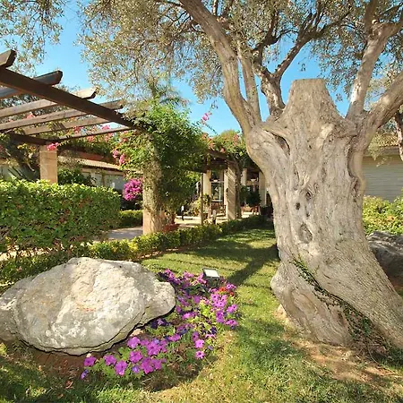 Ξενοδοχείο Mar Playa Mar & Port de Pollenca